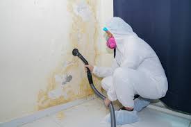 Wood River, IL Mold Removal Services Company